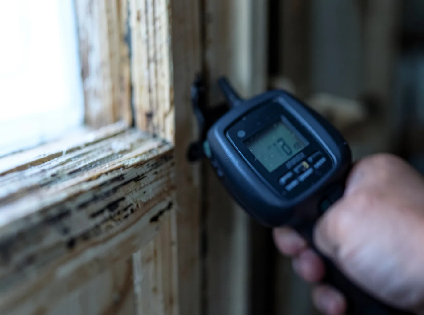 Commercial Water Damage Restoration in Greeley, CO